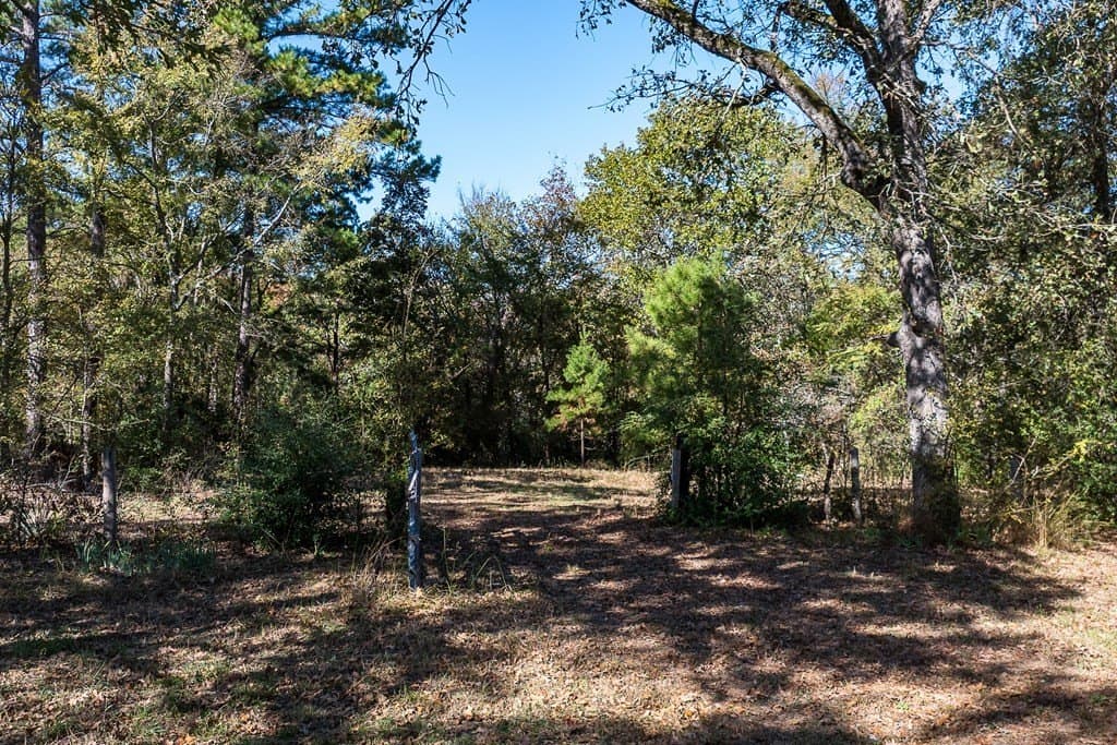 24 acres in Anderson County - photo 6