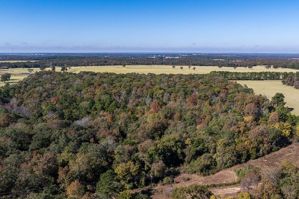 24 acres in Anderson County - photo 13