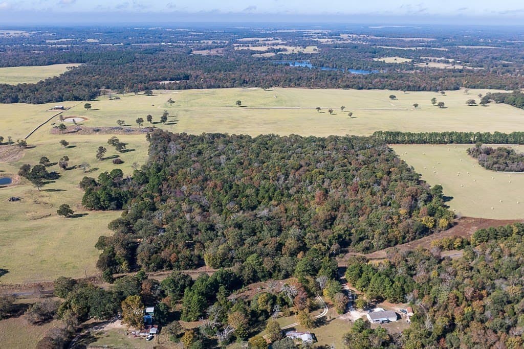 24 acres in Anderson County - photo 8
