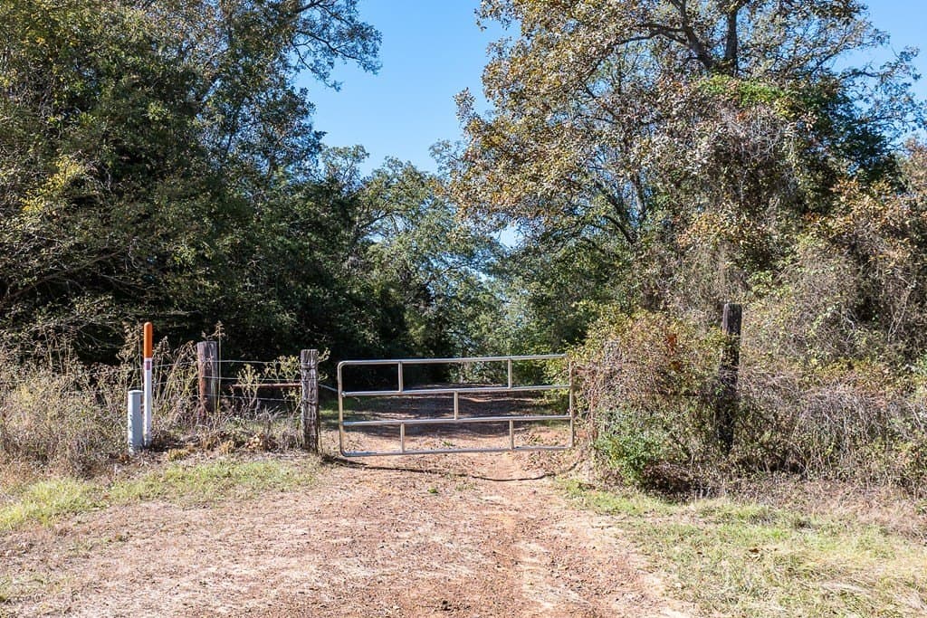 24 acres in Anderson County - photo 15