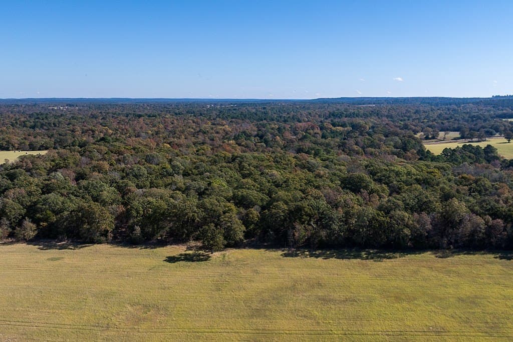24 acres in Anderson County - photo 12