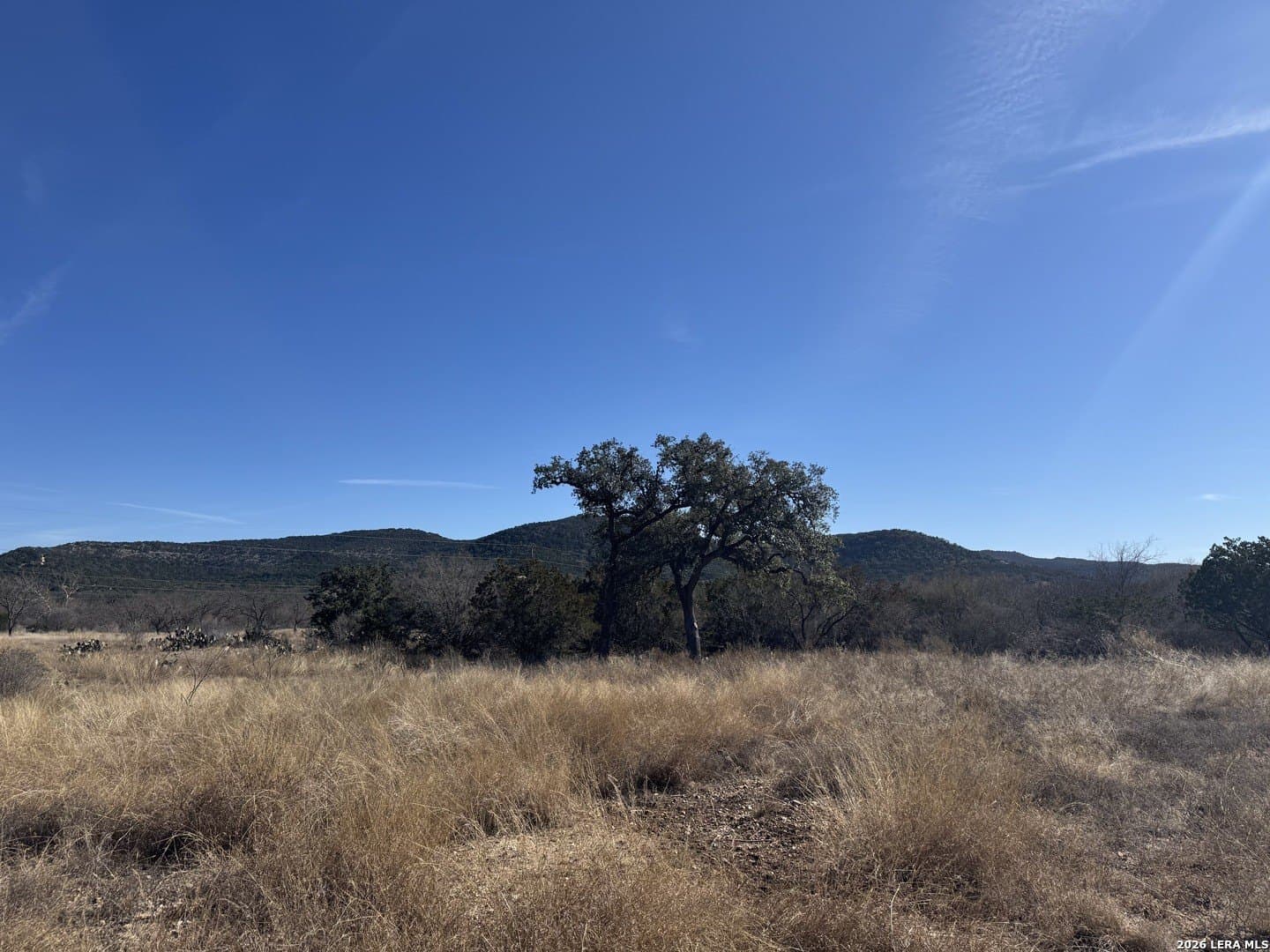 5.31 acres in Real County gallery image 4