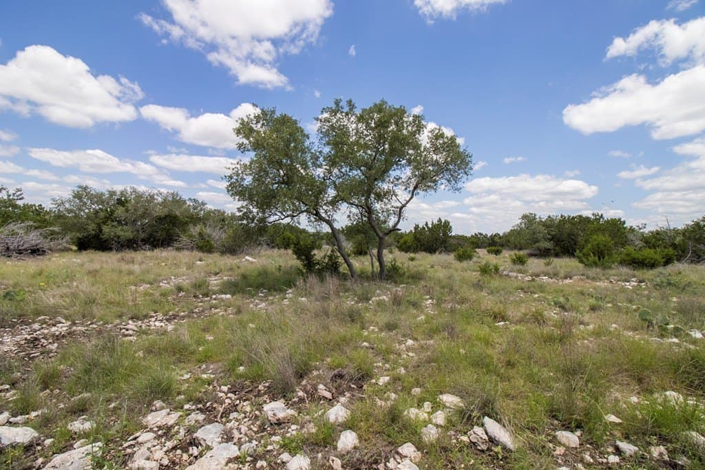 40 acres in Edwards County - photo 7
