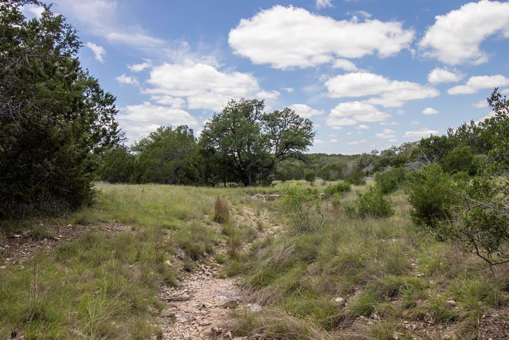 40 acres in Edwards County - photo 8