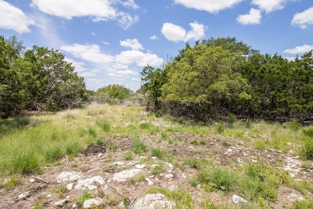 40 acres in Edwards County - photo 6