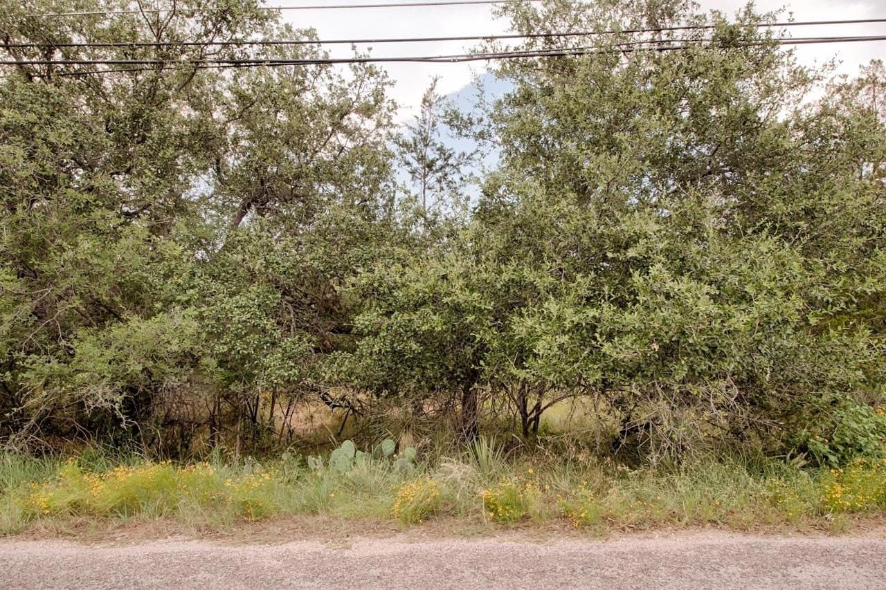0.11 acres in Burnet County gallery image 2
