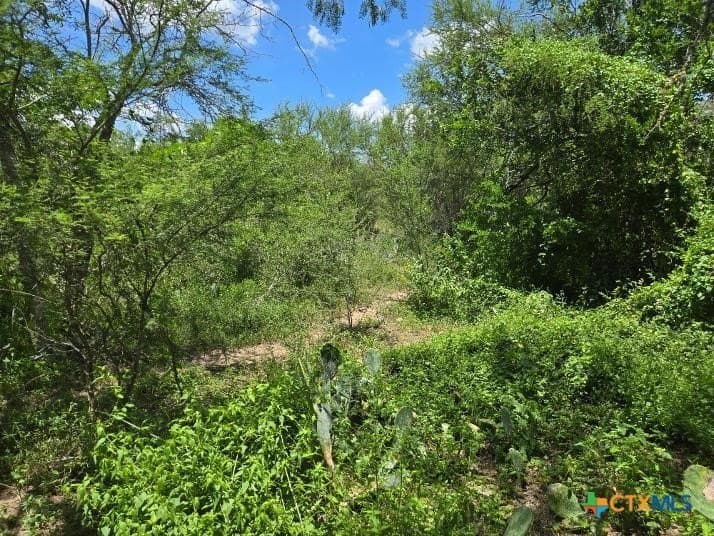 10.3 acres in Karnes County gallery image 3