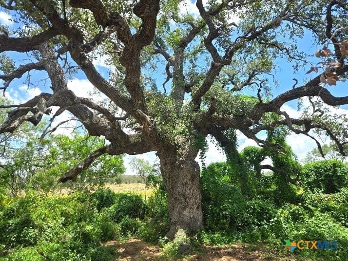 10.3 acres in Karnes County