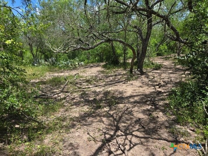 10.3 acres in Karnes County gallery image 2