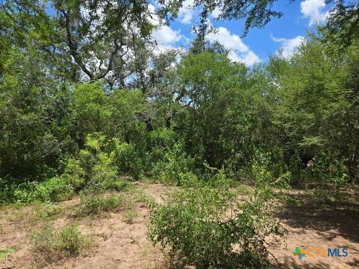 10.3 acres in Karnes County featured view