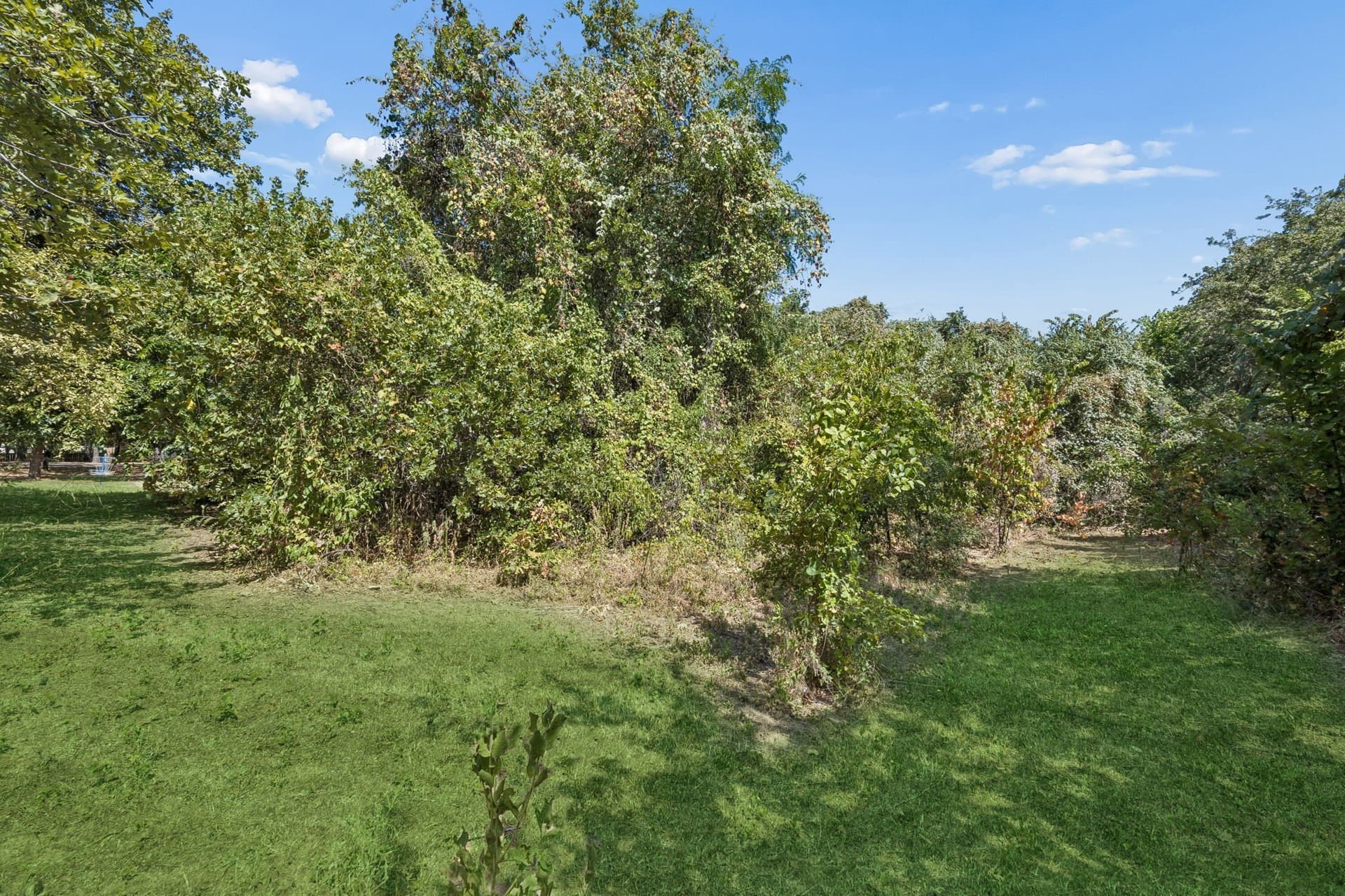 2.34 acres in Tarrant County - photo 10