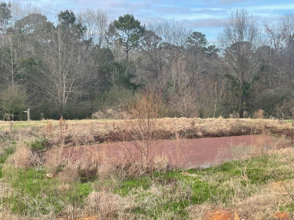 18 acres in Texas County featured view