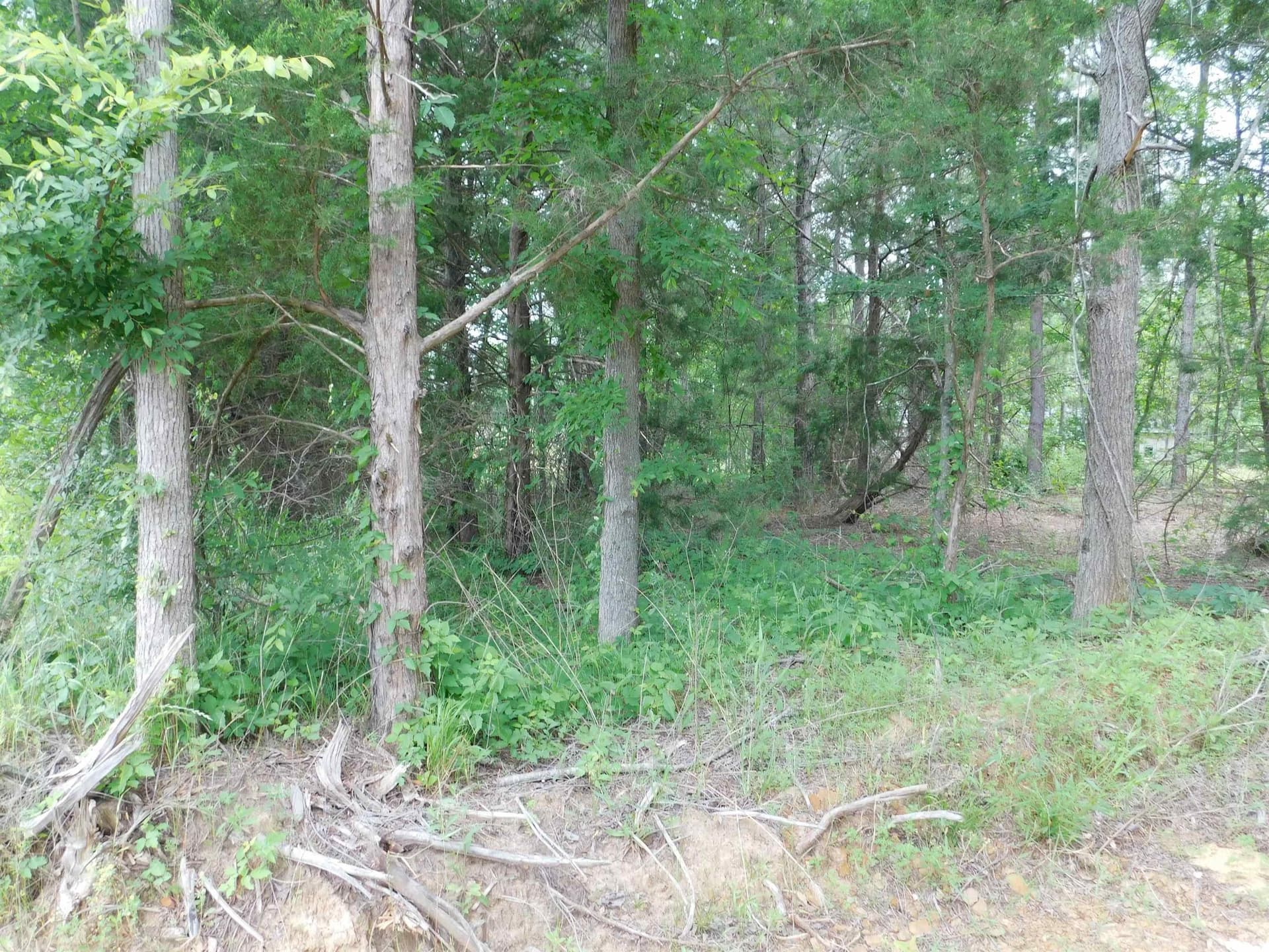 0.71 acres in Texas County gallery image 2
