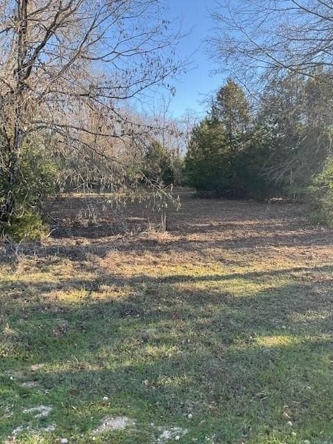 61.6 acres in Freestone County featured view