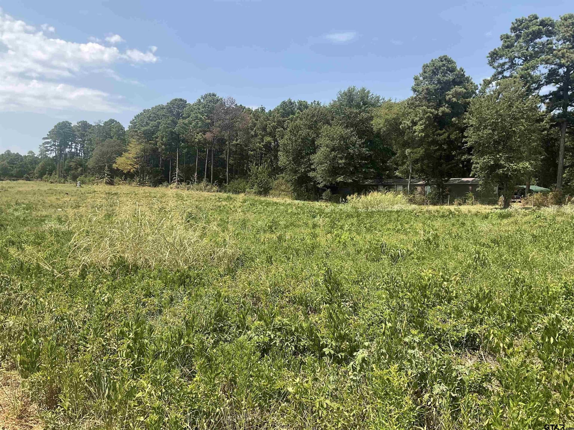 3.33 acres in Smith County - photo 6