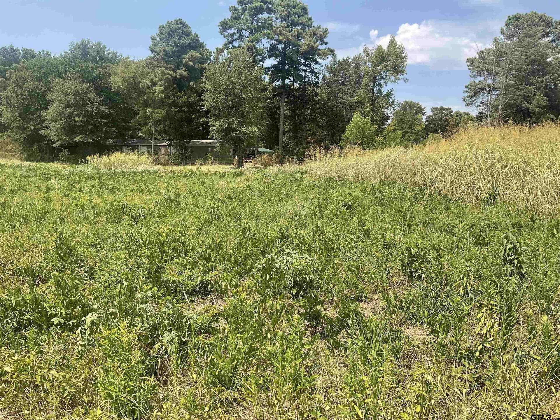 3.33 acres in Smith County - photo 7