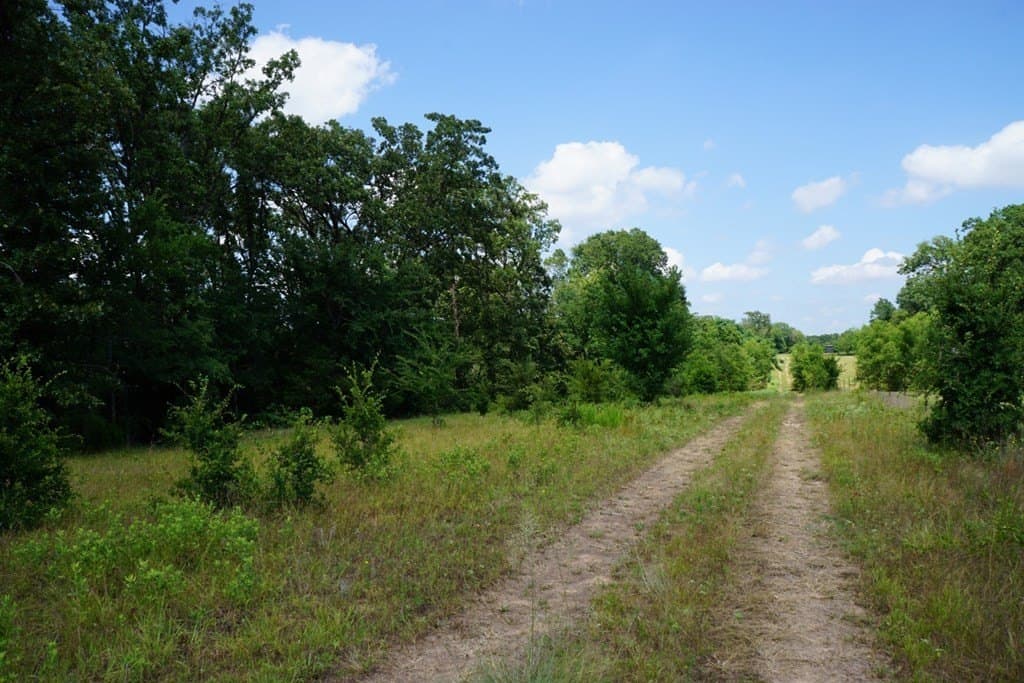 5.2 acres in HENDERSON County - photo 10