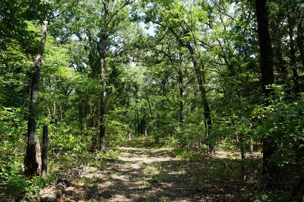 5.2 acres in HENDERSON County - photo 15