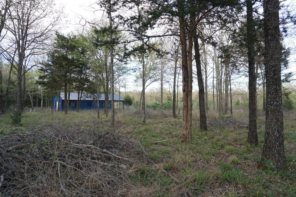 5.2 acres in HENDERSON County gallery image 3
