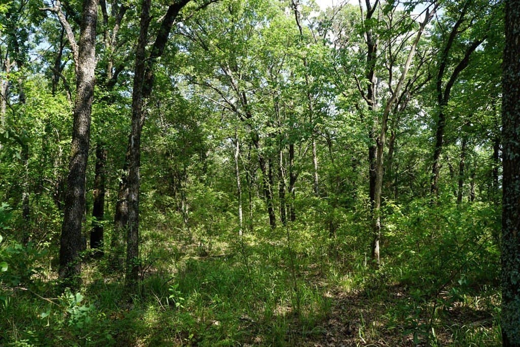 5.2 acres in HENDERSON County - photo 19