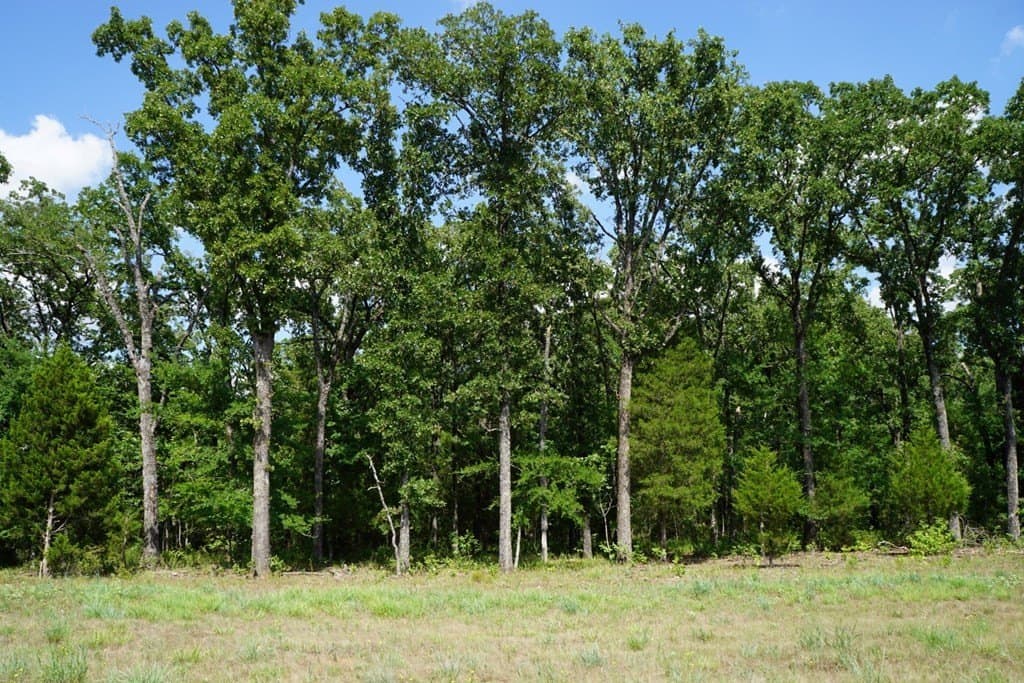 5.2 acres in HENDERSON County - photo 12