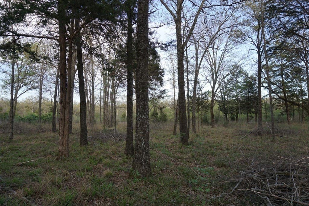 5.2 acres in HENDERSON County gallery image 2