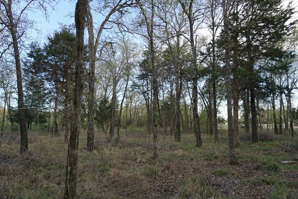 5.2 acres in HENDERSON County - photo 7