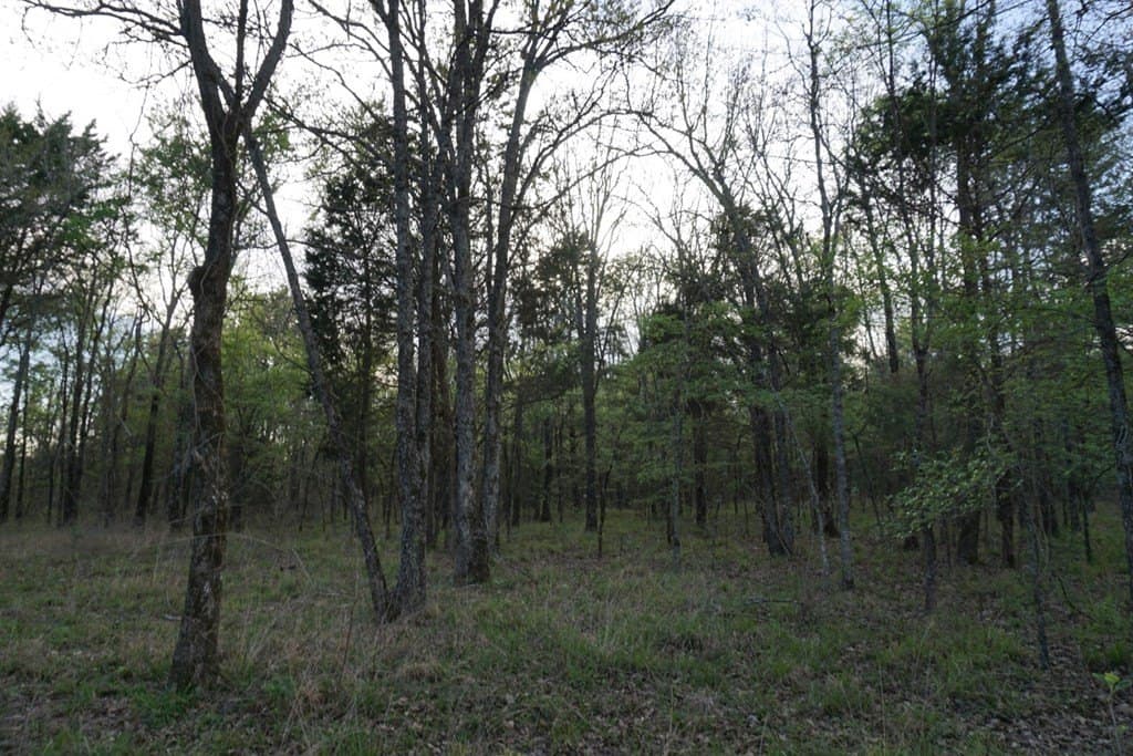 5.2 acres in HENDERSON County - photo 9