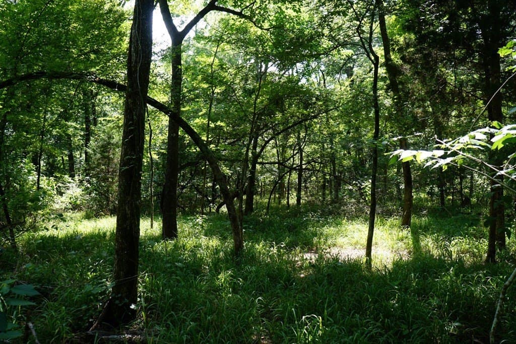 5.2 acres in HENDERSON County - photo 16