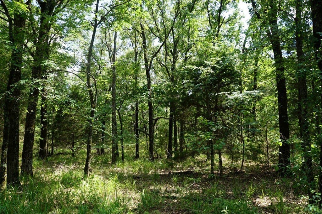 5.2 acres in HENDERSON County - photo 13