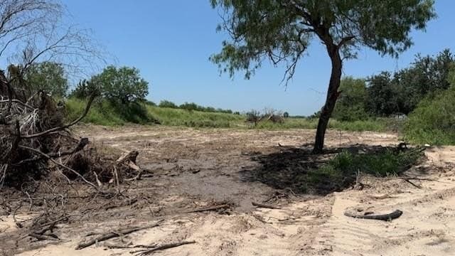 7.13 acres in Hidalgo County gallery image 4