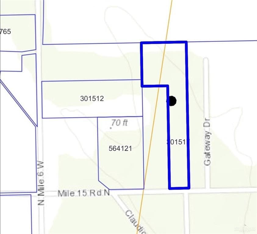 7.13 acres in Hidalgo County - photo 6