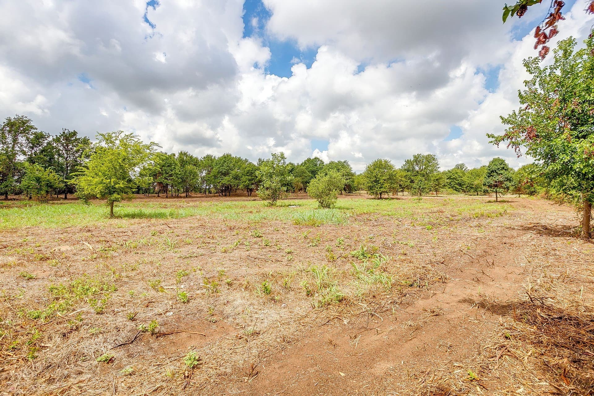 2.5 acres in Parker County - photo 8