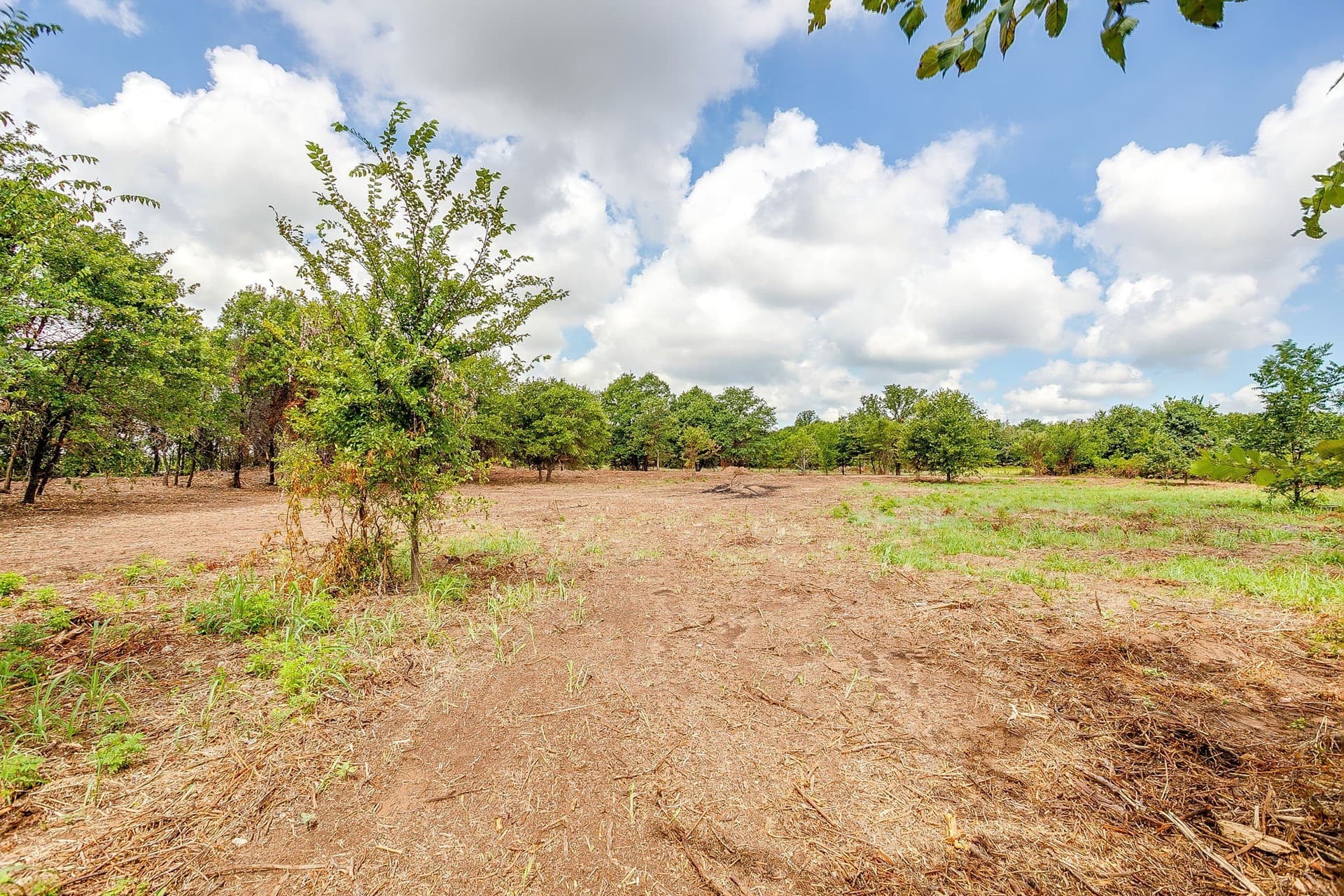 2.5 acres in Parker County - photo 6