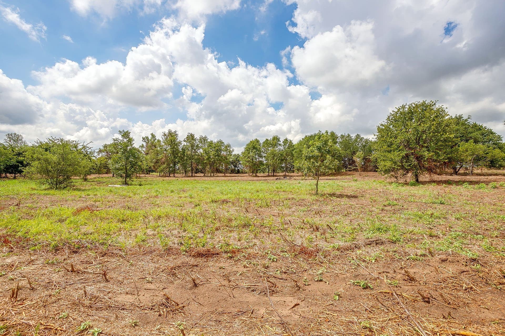 2.5 acres in Parker County - photo 9