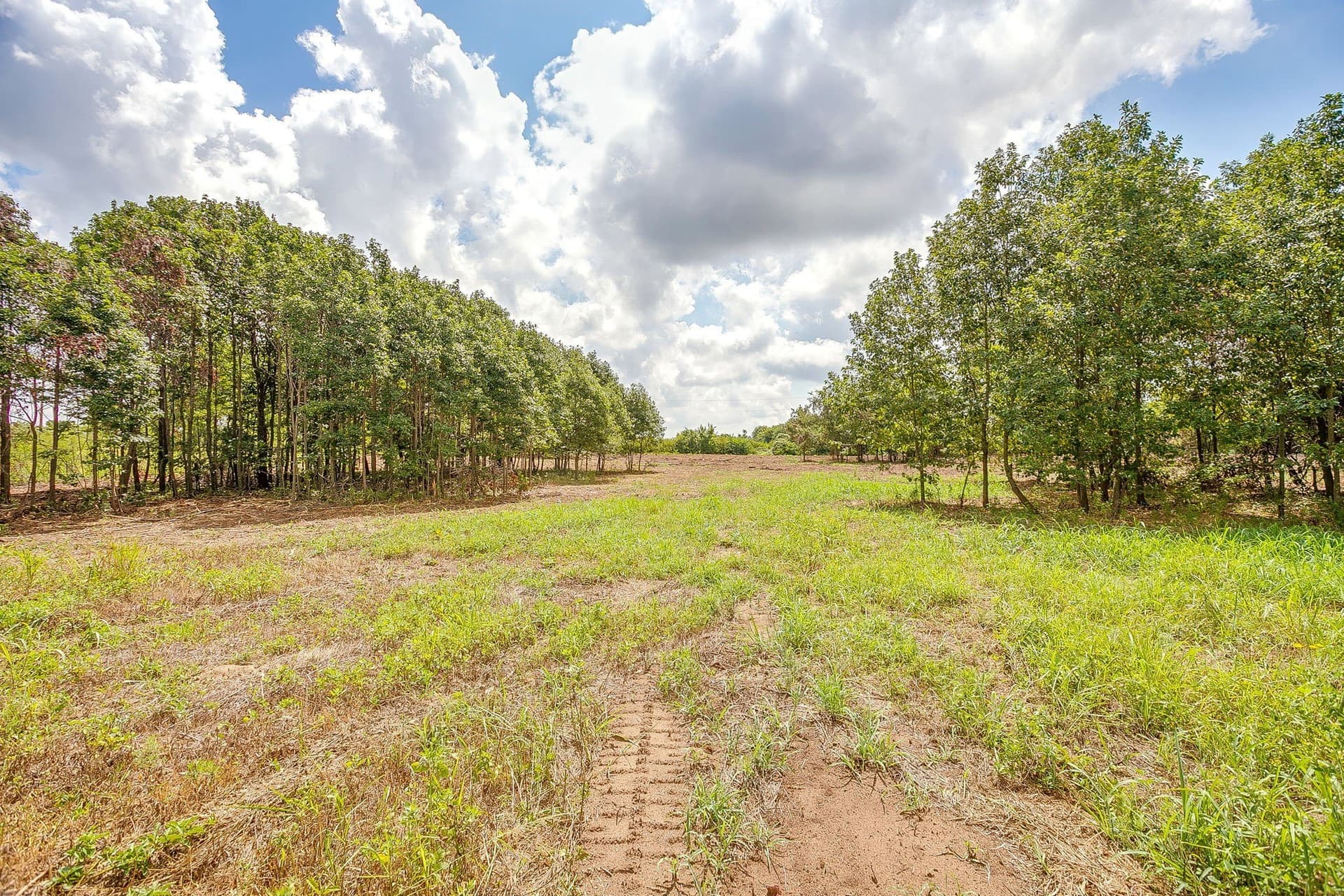 2.5 acres in Parker County - photo 10