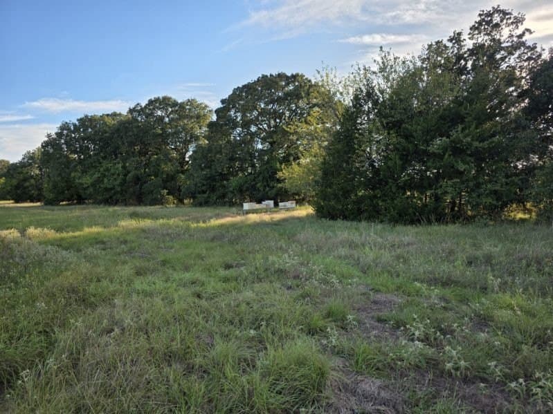 35.82 acres in Hunt County - photo 15