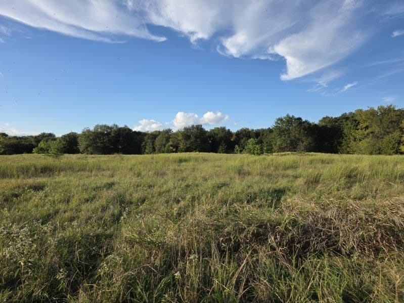 35.82 acres in Hunt County - photo 13