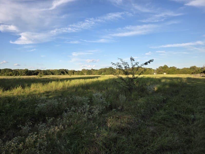 35.82 acres in Hunt County - photo 7