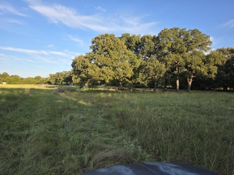 35.82 acres in Hunt County - photo 6