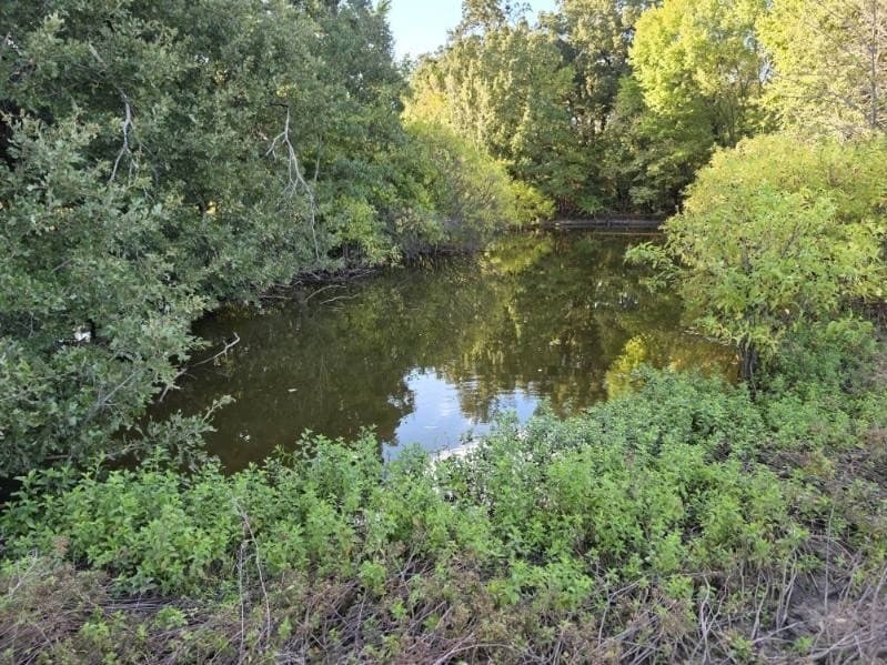 35.82 acres in Hunt County - photo 16