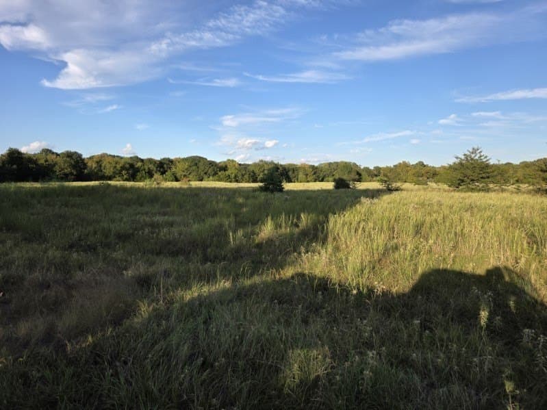 35.82 acres in Hunt County - photo 17