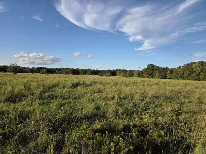 35.82 acres in Hunt County - photo 10