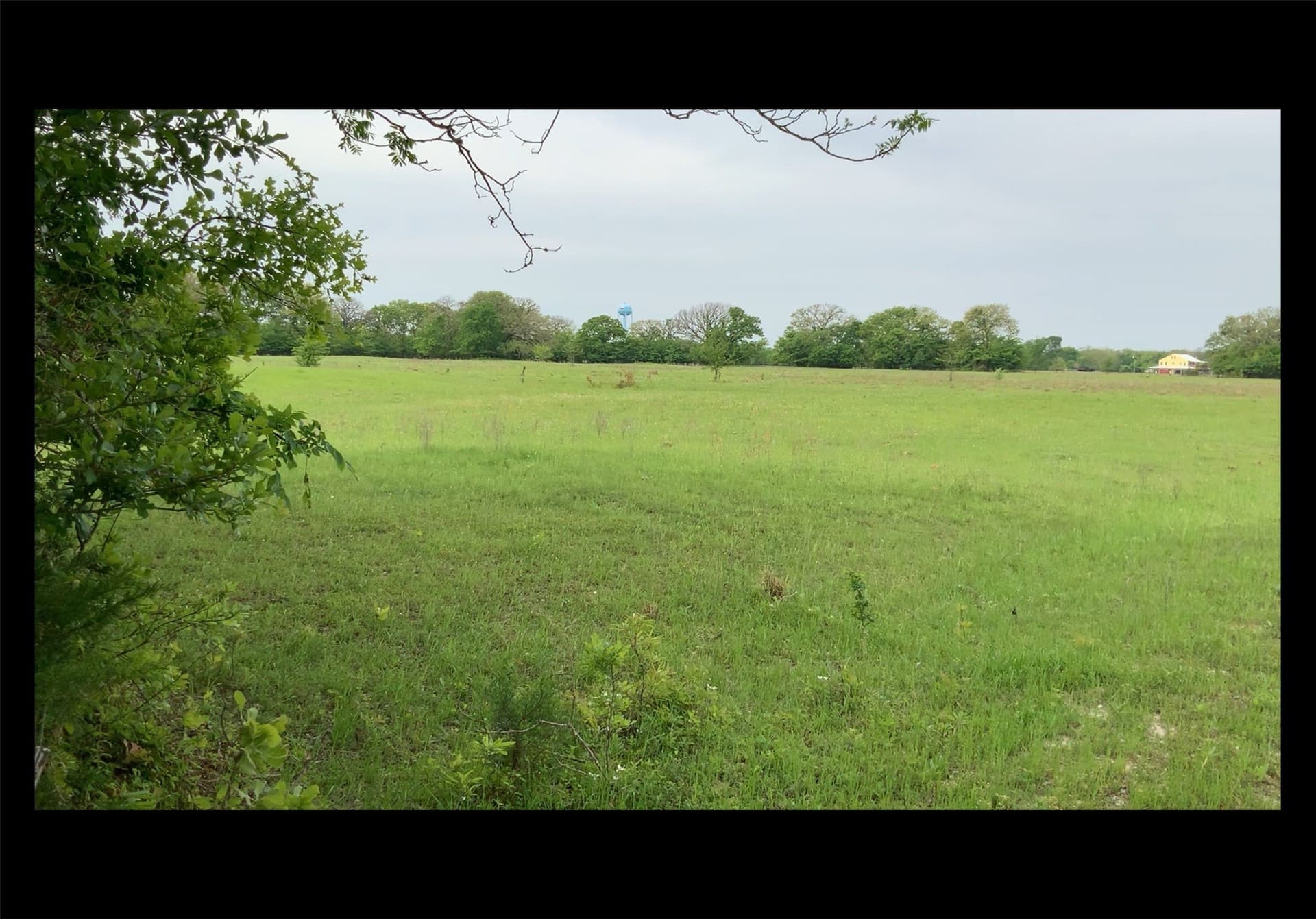 35.82 acres in Hunt County
