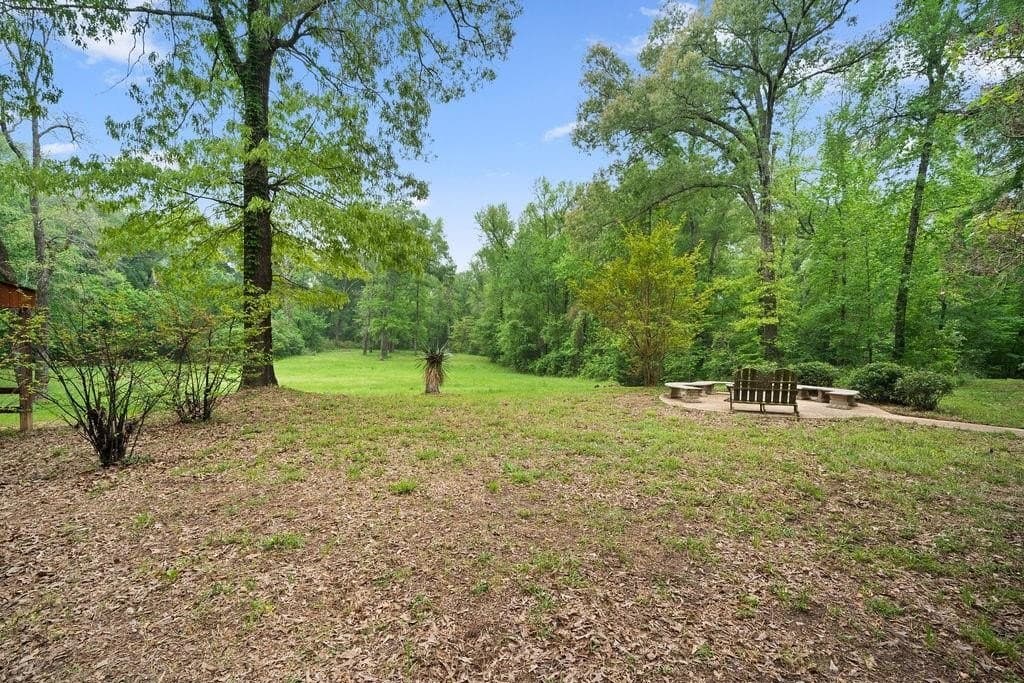 20 acres in Van Zandt County gallery image 2