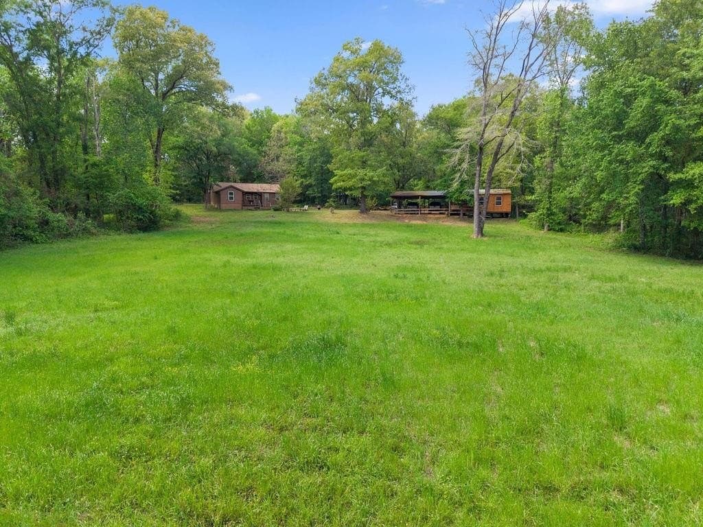 20 acres in Van Zandt County gallery image 4