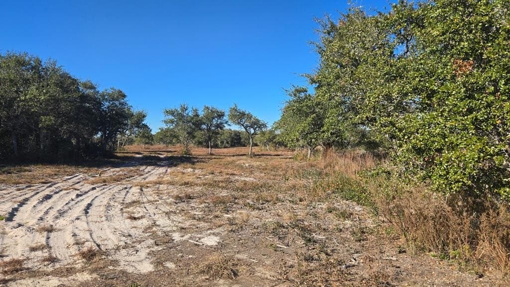 84.63 acres in Texas County - photo 20