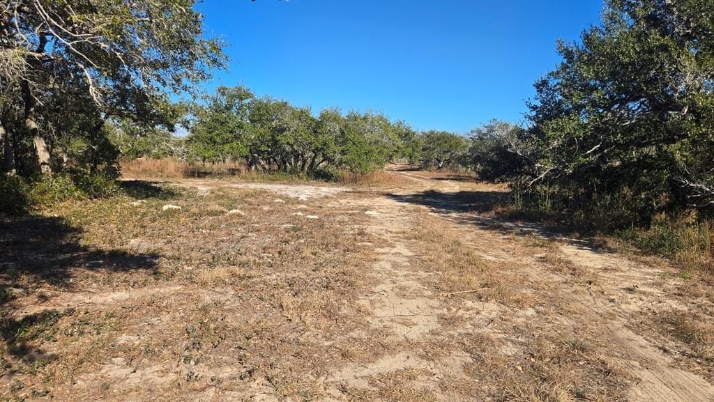84.63 acres in Texas County - photo 19