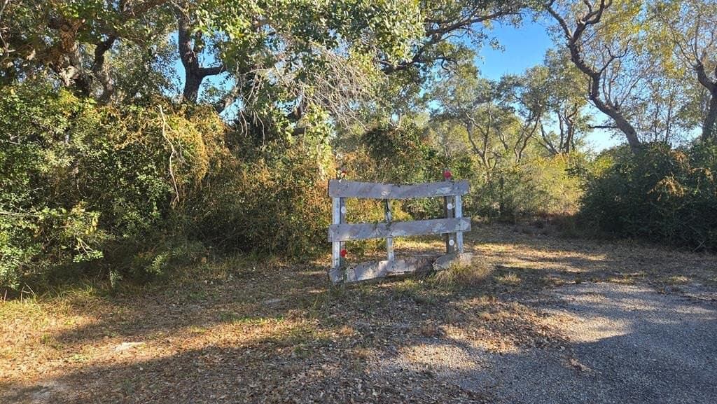 84.63 acres in Texas County gallery image 4