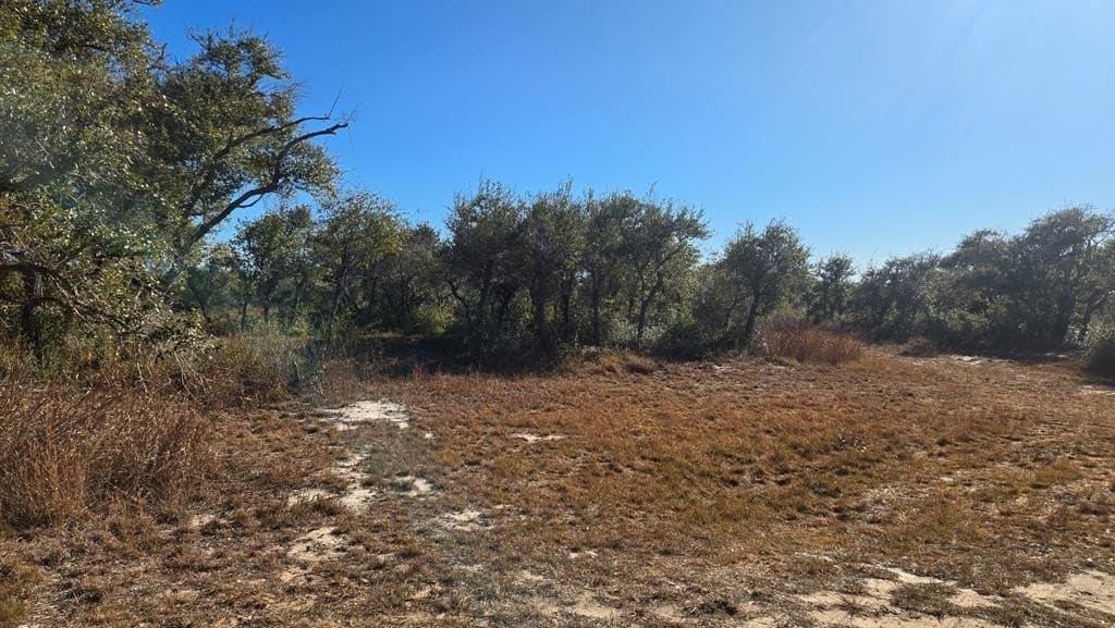 84.63 acres in Texas County - photo 18